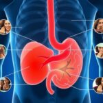 Желчная колика: как распознать симптомы, пока боль не заставит бежать в скорую